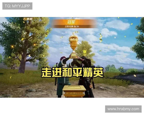 杨丽专访揭秘和平精英成功背后的策略与创新之路 杨丽专访揭秘和平精英成功背后的策略与创新之路