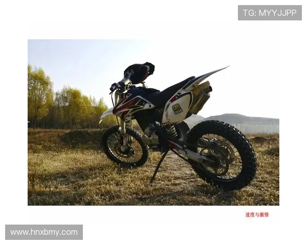 西安滑板队的崛起与变革：速度与激情的碰撞与挑战