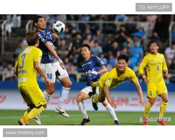 2019年福冈黄蜂与大宫松鼠精彩对决回顾与赛季分析